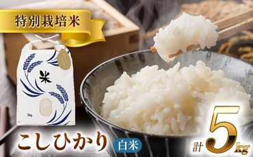 令和6年産 愛知県産コシヒカリ 白米5kg 特別栽培米 ご飯 精米／戸典オペレーター[AECT020]