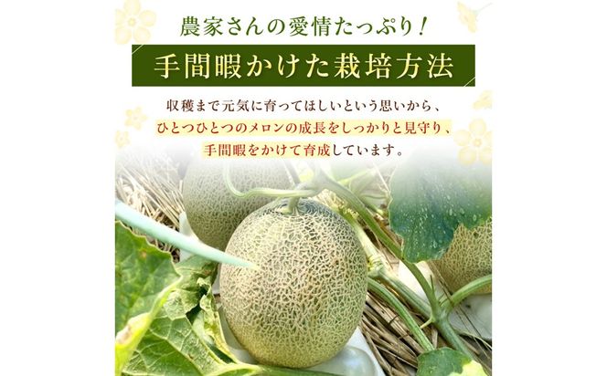 【ふるプレ限定品】【特別寄附額】【先行予約】京丹後・俵野産 砂丘メロン 2L以上 1玉（2026年7月下旬～発送）　IU00001P