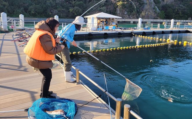 海洋体験施設うみんぐ大島 釣堀体験1名様分【(株)むなかた大島】_HA2029 体験 チケット 福岡県宗像市 宗像市 福岡 宗像