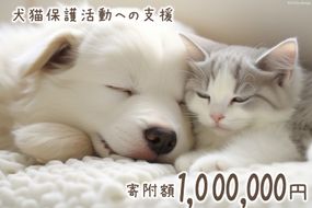 犬猫保護活動への支援 100万円分 [NPO法人セブンデイズ 福岡県 筑紫野市 21760892] 保護 動物 犬 猫 犬猫 保護犬 支援 応援 愛護