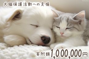 犬猫保護活動への支援 100万円分 [NPO法人セブンデイズ 福岡県 筑紫野市 21761403] 保護 動物 犬 猫 犬猫 保護犬 支援 応援 イヌ ネコ いぬ ねこ ペット動物愛護 愛護 保護活動