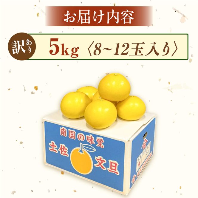 【先行予約】訳あり 温室土佐文旦 家庭用 5kg (8～12玉）〈2026年12月上旬から発送〉/文旦 ぶんたん ブンタン 土佐文旦 ハウス栽培 甘い 柑橘 フルーツ 果物 ご当地 産地直送 お取り寄せ【土佐文旦の藤岡】 [BQBJ005]