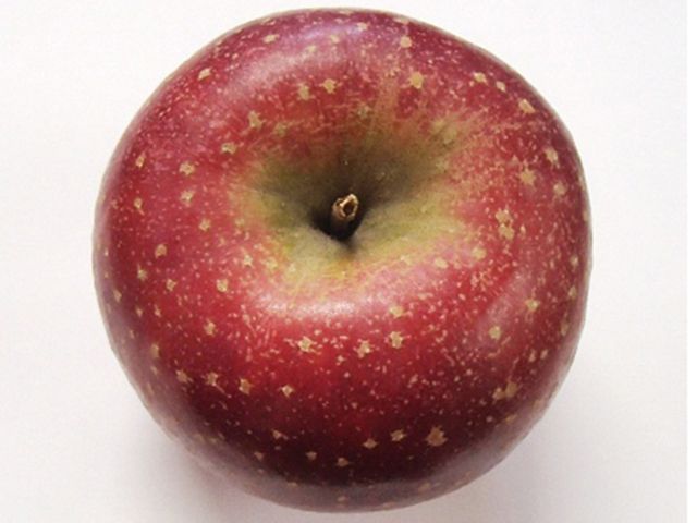 風丸農場 千雪りんごのジュース 無添加 青森県産 720ml×2本セット 飲料類 果汁飲料 りんごジュース 