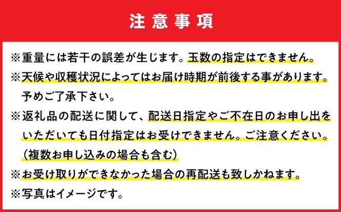【優秀賞受賞】沖縄県産 完熟マンゴー 訳アリ 1kg (2〜3玉) マンゴー 沖縄 果物 フルーツ ギフト 沖縄市 / MAIFARM[BCAN003]