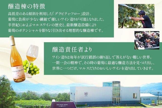 【JWC2022銀賞受賞】 ワイン 白 やや辛口 甲州オランジュ･グリ 750ml [本坊酒造 マルス穂坂ワイナリー 山梨県 韮崎市 20743120] 甲州 オレンジワイン 白ワイン