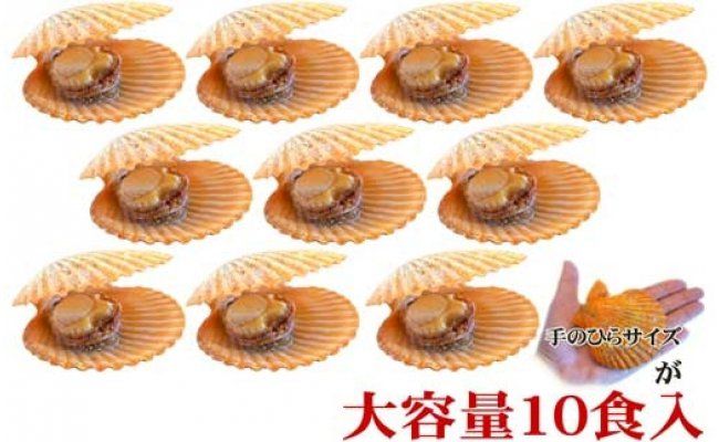 【CF-R7hbk】KYF013　長太郎貝（ヒオウギガイ）１０個入