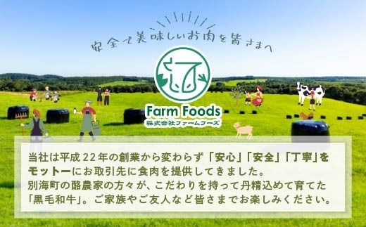 【定期便】黒毛和牛 サイコロステーキ 用 500g × 6ヵ月 【全6回】