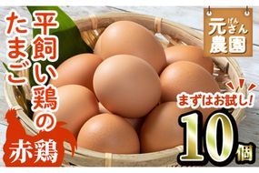 ＜お試し用＞ 平飼い赤鶏のたまご (計10個) 元さん農園 卵 玉子 卵かけご飯 玉子焼き 平飼い 鶏 鶏卵 養鶏場直送送 朝採れ 新鮮 大分県 佐伯市 【GE002】【 (株)海九】