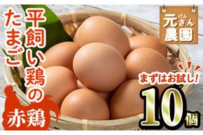 ＜お試し用＞ 平飼い赤鶏のたまご (計10個) 元さん農園 卵 玉子 卵かけご飯 玉子焼き 平飼い 鶏 鶏卵 養鶏場直送送 朝採れ 新鮮 大分県 佐伯市 【GE002】【 (株)海九】