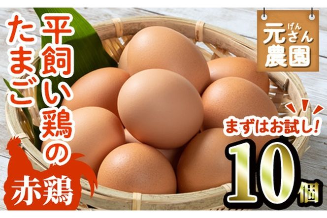＜お試し用＞ 平飼い赤鶏のたまご (計10個) 元さん農園 卵 玉子 卵かけご飯 玉子焼き 平飼い 鶏 鶏卵 養鶏場直送送 朝採れ 新鮮 大分県 佐伯市 【GE002】【 (株)海九】