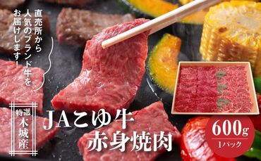 JAこゆ牛 特選木城産 赤身(もも・ウデ)600ｇ 焼肉用 K56_0007