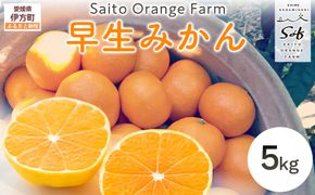 【先行予約】Saito Orange Farmの早生(わせ)みかん5kg（2026年11月下旬頃より順次発送予定） IKTAQ020