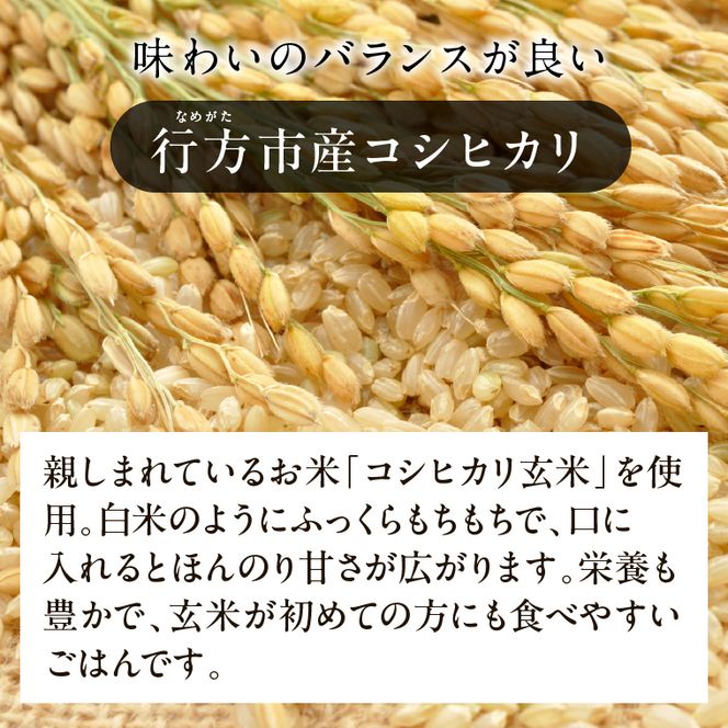 【最短翌日発送】 パックライス コシヒカリ 玄米 160g×18食｜パックライス スピード 茨城県 行方市(HE-6)