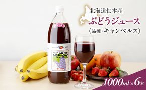 北海道仁木産ぶどうジュース（品種：キャンベルス）：1000ml×6本 果汁飲料 野菜飲料 ブドウ ぶどう ジュース[JA新おたる] 