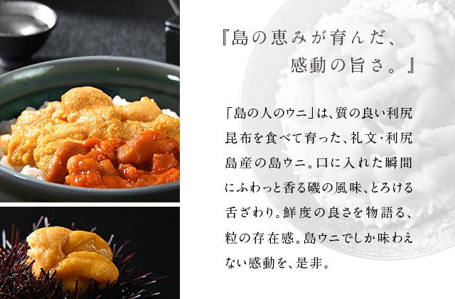 北海道礼文島産 旬凍ウニ食べ比べセット（80g×各2個） 魚貝類 海の幸 海鮮 北海道産 つまみ うに丼 手巻き寿司 濃厚 甘み とろける エゾバフンウニ 旨み キタムラサキウニ 