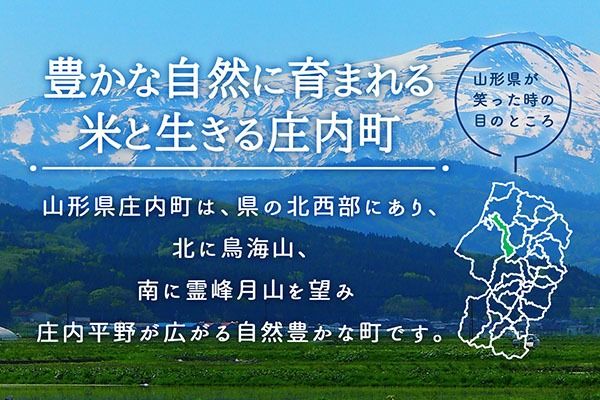 【新米受付】令和8年産 特別栽培米 つや姫 10kg 5kg×2袋 2026年産 ブランド米 米 国産 単一原料米 山形 庄内平野 コシヒカリの原点、亀の尾発祥の地 庄内【R8.10月以降発送開始/入金期限：2026年9月15日】