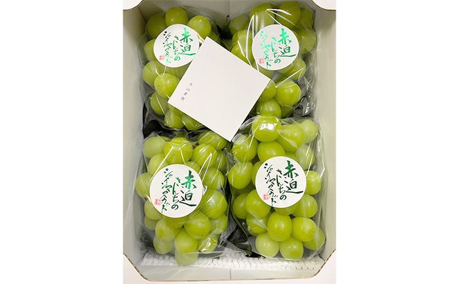 ぶどう シャインマスカット 2kg  3房～4房 1房 約500g～600g 葡萄 フルーツ 岡山 高梁市産 赤迫農園 2026年 先行予約