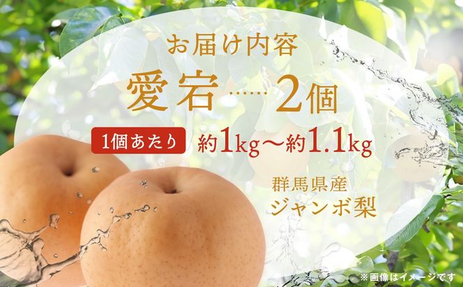 【先行予約】群馬県産ジャンボ梨「愛宕」2個(1個あたり約1.0～1.1kg)【11月中旬～12月下旬発送予定】ANAH001