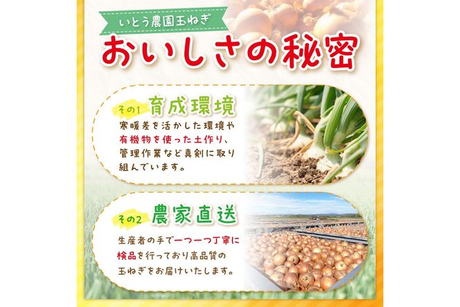 【予約：2026年9月下旬から順次発送】いとう農園の玉ねぎ 10kg ( 玉葱 タマネギ 野菜 期間限定 数量限定 10キロ )【181-0002-2026】