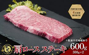 ステーキ 奈義和牛 肩 ロースステーキ 600g (300g×2) 肉 お肉 牛肉 牛 和牛 岡山 国産