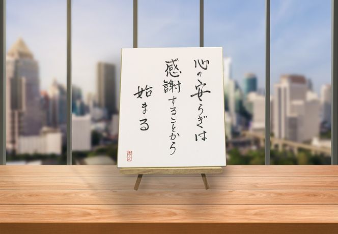 y{szI[PATCFyS̈炬͊ӂ邱Ƃn܂z[2447]