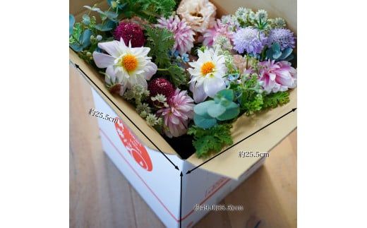 【CF-R7hbk】t164tmf　《6ヵ月定期便》おすすめ生花アレンジメントL 定期便 定期コース 全6回 フラワーアレンジメント そのまま飾れる 生花 花束 花 お花 おすすめ 可愛い キレイ おしゃれ 季節のお花 供花 お供え
