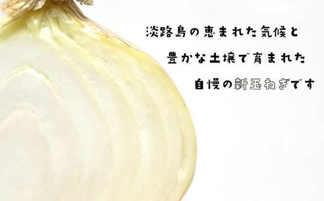 淡路島産新玉ねぎ 5kg　玉ねぎ
