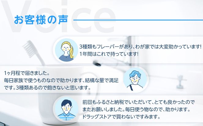 【寄附額見直しました！】LION ハミガキ NONIO×システマ使い比べセット 日用品 ふるさと納税 142069_CR001