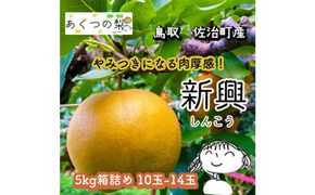 新興梨 5kg箱詰め(鳥取県佐治町産) [あくつの梨] 312011_FX004