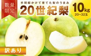 【先行予約／数量限定30】訳あり 廿世紀梨 10kg（2026年9月上旬～発送） FK00030