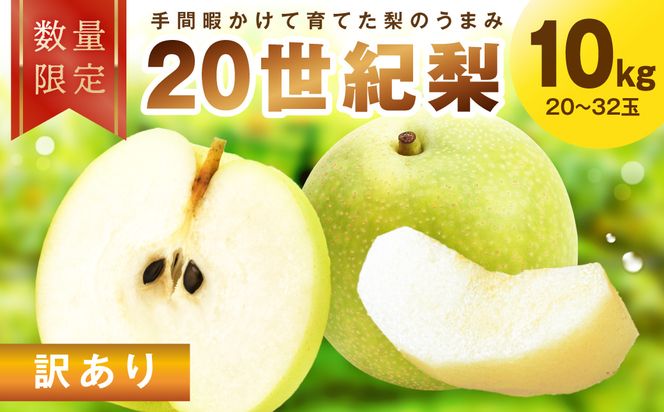【先行予約／数量限定30】訳あり 廿世紀梨 10kg（2026年9月上旬～発送） FK00030