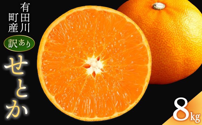 せとか ＜別名-みかんの大トロ＞ 和歌山県有田川町産 オレンジ 訳あり 8kg  	CE045