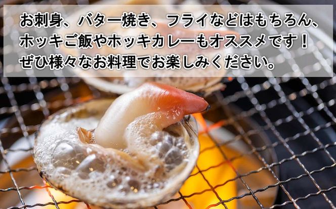 北海道産 活ホッキ 貝 20個  ホッキ 北寄 北寄貝 貝 殻付き 海鮮 海産物 新鮮 旬