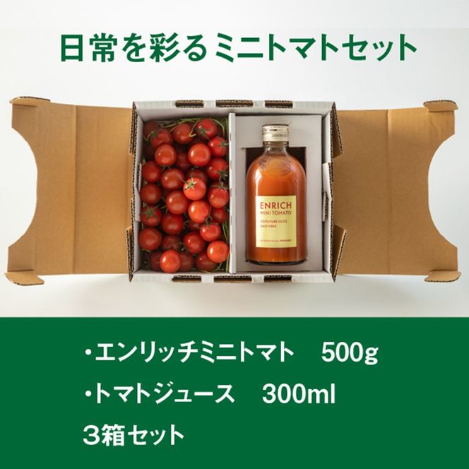 エンリッチミニトマトセット3箱セット【28001BA0101】