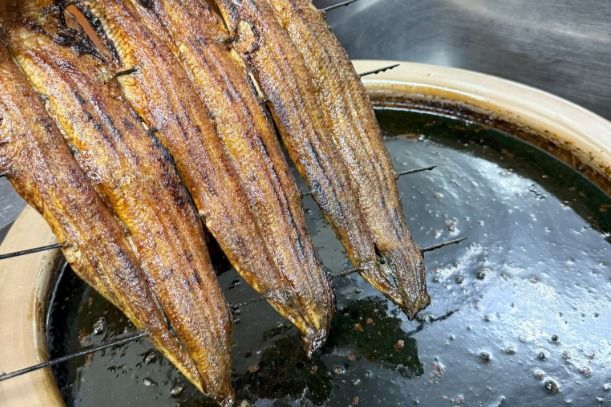【2ヶ月定期便】【うなぎ】創業七十余年の味 至高の鰻蒲焼 4尾