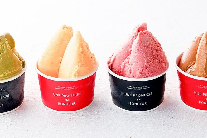 《12月24日までのお申込で年内発送間に合う》 ジェラートバラエティパック6種×各2個（計12個）|06_pcf-171201