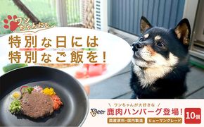 鹿肉ドッグフード　鹿肉ハンバーグ（犬用）　10個（約50g×10個） 加工食品 お肉 家族 健康 食事 大切 ペット 自然 新鮮 動物 高品質 安心 安全 国産 子犬 老犬 栄養 小分け 