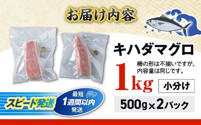 冷凍キハダマグロ 1kg (500g×2パック) マグロ まぐろ 小分け 冷凍 刺身 赤身 沖縄市 / 沖縄市漁業協同組合 パヤオ直売店[BCDZ001]