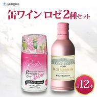 スパークリング 缶ワイン 2種 飲み比べ プレミアム缶ワイン ロゼ プティモンテリアロゼスパークリング 各290ml×6本 計12本 モンデ酒造 酒 お酒 贈答 ギフト 晩酌 宅飲み 家飲み キャンプ BBQ パーティー アウトドア 送料無料 山梨県 笛吹市  177-4-171