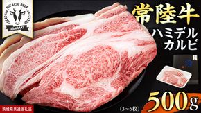 【 常陸牛 】A5 等級 ハミデルカルビ 500g (3～5枚) ひたちぎゅう ブランド牛 カルビ 国産牛 黒毛和牛 和牛 国産黒毛和牛 お肉 A5ランク 高級 BBQ パーティ (茨城県共通返礼品) [BX127-NT]