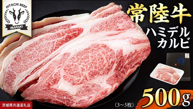 y錧΂݂炢szy 헤 zA5  n~fJr 500g (3`5) Ђイ uh Jr Y јa a Yјa  A5N  BBQ p[eB (錧ʕԗi) [BX127-NT]