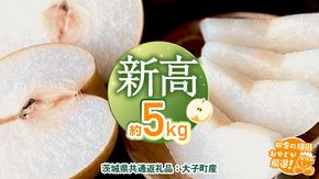 梨 新高 約5kg 【2026年10月より発送開始】（茨城県共通返礼品 [梨]：大子町産）田舎の頑固おやじが厳選！ なし 新高梨 和梨 フルーツ 果物 くだもの 高糖度 ギフト 茨城 [BI306-NT]