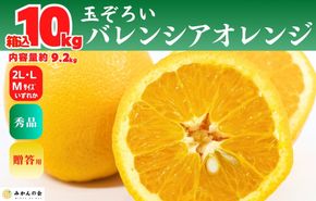 バレンシアオレンジ 国産 玉ぞろい 秀品 箱込 10kg (内容量 9.2kg ) 2L L M サイズのいずれか 和歌山県産 産地直送【みかんの会】 AX409