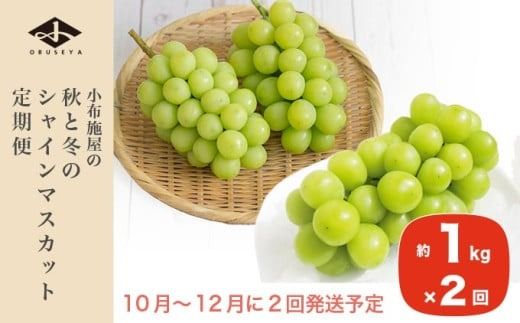 秋と冬のシャインマスカット2回定期便 約1kg × 2回 合計 約2kg ［小布施屋］ フルーツ ぶどう 果物 くだもの 葡萄 ブドウ 長野県産 信州産 クール便 冷蔵便 数量限定 先行予約 送料無料 令和7年産 【2025年10月～12月発送】 ［J-8］