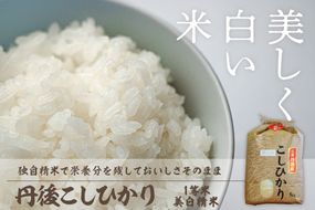 【定期便6回】令和7年産  美白精米 丹後こしひかり 10kg×6ヵ月 1等米　MU00066
