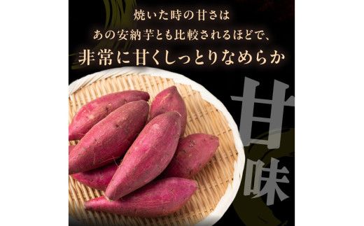 【先行予約】丹後産　さつまいも　紅はるか3kg　2027年3月中旬～配送　お野菜 野菜 正規品 ふるさと納税 さつまいも ふるさと納税 紅はるか べにはるか 甘い　AM00746_04