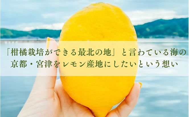 百章3点セット（檸檬胡椒・レモンシロップ・生姜の佃煮）　レモン れもん 調味料 スパイス 薬味 レモネード 佃煮 詰め合わせ 京都府 宮津市 myz11 myz20 myz22