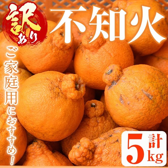 ＜先行予約受付中！2026年1月上旬以降順次発送＞＜訳あり・不揃いの為＞数量限定！無加温ハウス不知火(5kg) 国産 鹿児島県 阿久根市 果実果物 フルーツ 柑橘 みかん ミカン 期間限定 数量限定【桐野柑橘株式会社】akn070-12