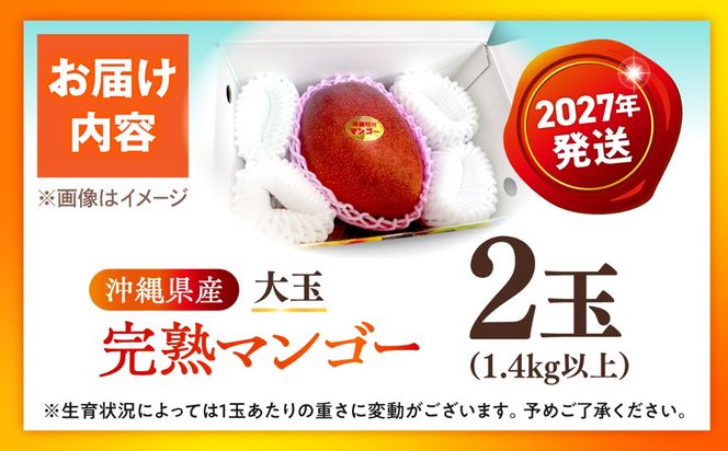 【先行予約】【優秀賞受賞】沖縄県産 完熟マンゴー 大玉 2個入り マンゴー 沖縄 果物 フルーツ ギフト 沖縄市 / MAIFARM[BCAN006]
