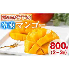【0105933a】物産館おススメ！東串良町産 丸ごと冷凍マンゴー(計800g・2-3個入り) 果物 フルーツ 果実 デザート 国産 冷凍 ご家庭用 【東串良物産館ルピノンの里】